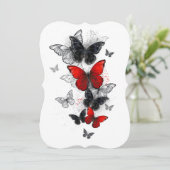 Flying Black and Red Morpho Butterflies (Standing Front)