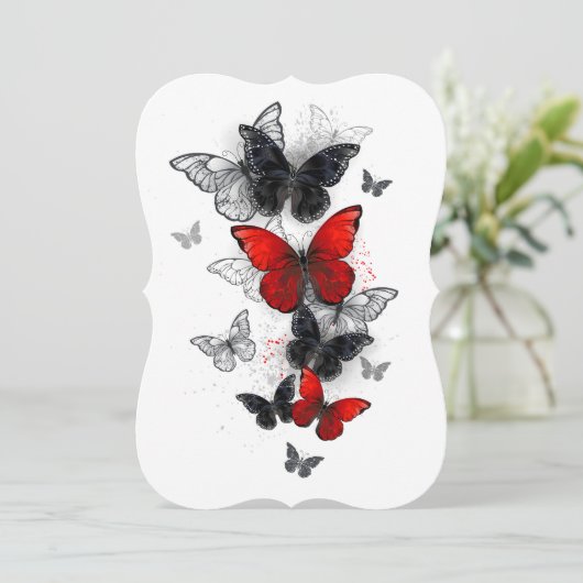 Flying Black and Red Morpho Butterflies (Standing Front)