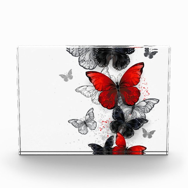 Flying Black and Red Morpho Butterflies Acrylic Award (Front)