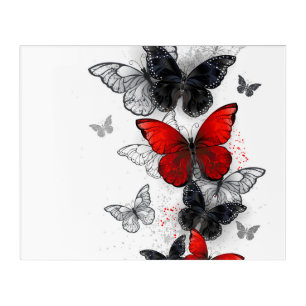 Flying Black and Red Morpho Butterflies Acrylic Print