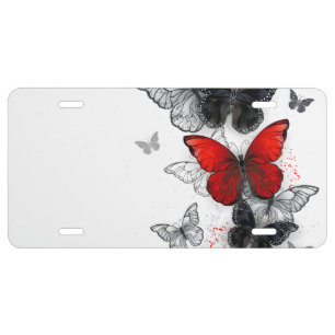 Flying Black and Red Morpho Butterflies License Plate