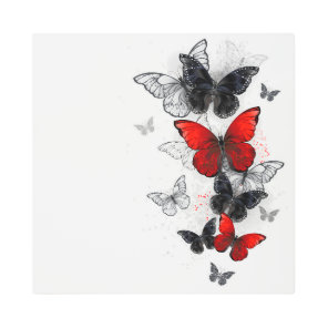 Flying Black and Red Morpho Butterflies Metal Print