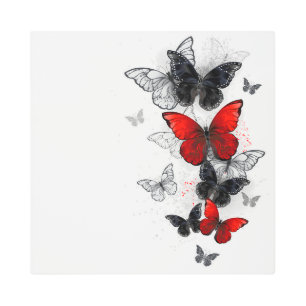 Flying Black and Red Morpho Butterflies Metal Print