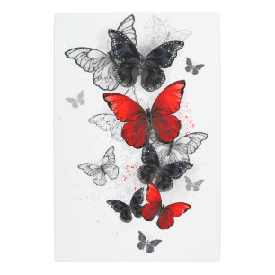 Flying Black and Red Morpho Butterflies Metal Print
