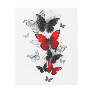 Flying Black and Red Morpho Butterflies Metal Print