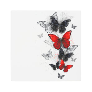 Flying Black and Red Morpho Butterflies Metal Print