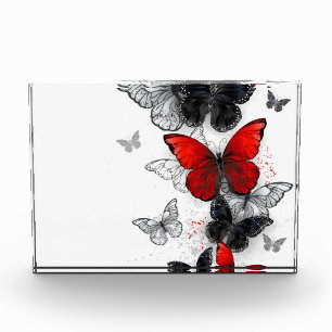 Flying Black and Red Morpho Butterflies Photo Block