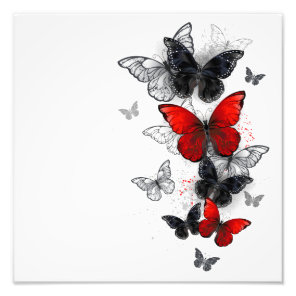 Flying Black and Red Morpho Butterflies Photo Print