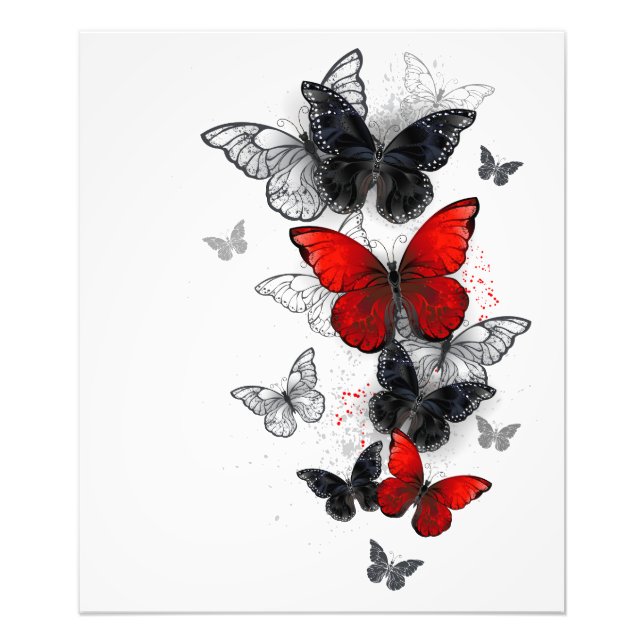 Flying Black and Red Morpho Butterflies Photo Print (Front)