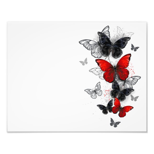 Flying Black and Red Morpho Butterflies Photo Print (Front)