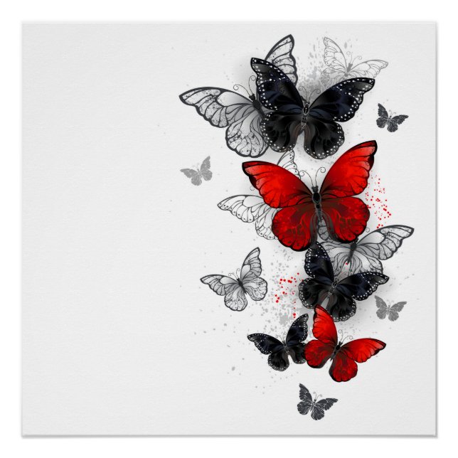 Flying Black and Red Morpho Butterflies Poster (Front)