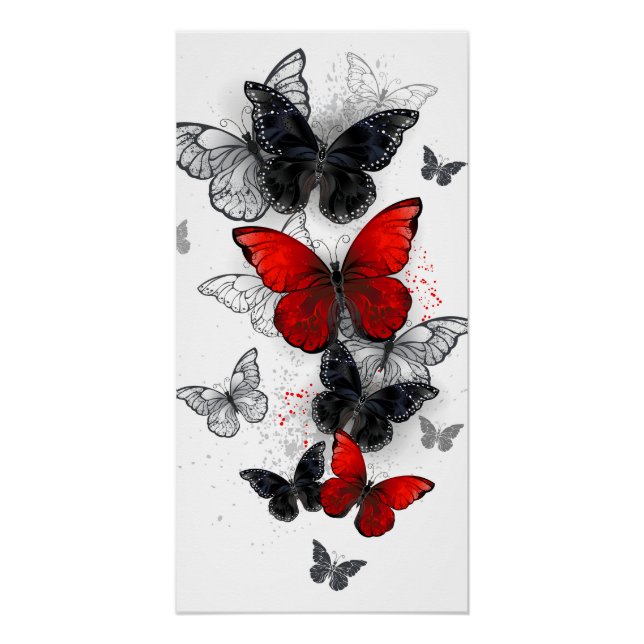 Flying Black and Red Morpho Butterflies Poster (Front)