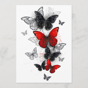 Flying Black and Red Morpho Butterflies Program