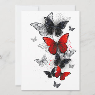 Flying Black and Red Morpho Butterflies Save The Date