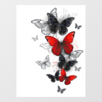 Flying Black and Red Morpho Butterflies