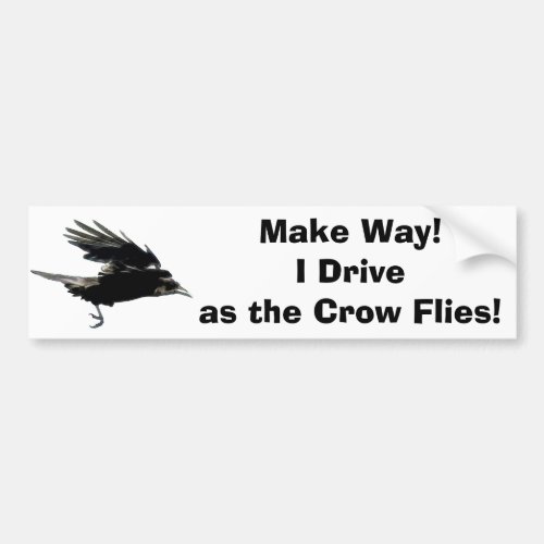 Flying Black Crow Wildlife Art Bumper Sticker