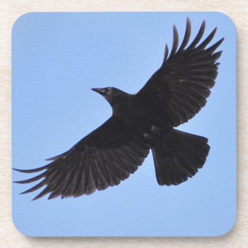 Flying Black Raven Corvid Crow_lover Photo Design Beverage Coaster