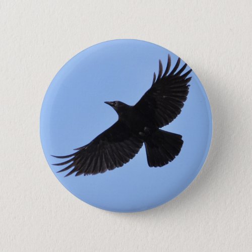 Flying Black Raven Corvid Crow_lover Photo Design Button