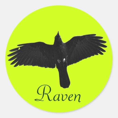 Flying Black Raven Corvid Crow_lover Photo Design Classic Round Sticker