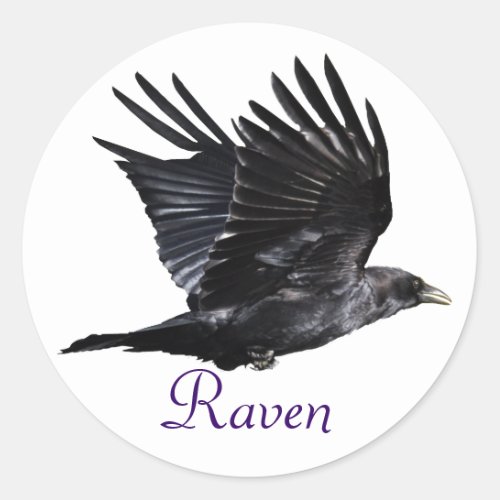 Flying Black Raven Corvid Crow_lover Photo Design Classic Round Sticker