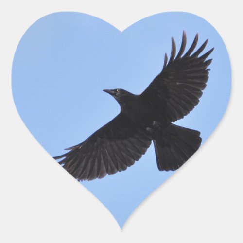 Flying Black Raven Corvid Crow_lover Photo Design Heart Sticker