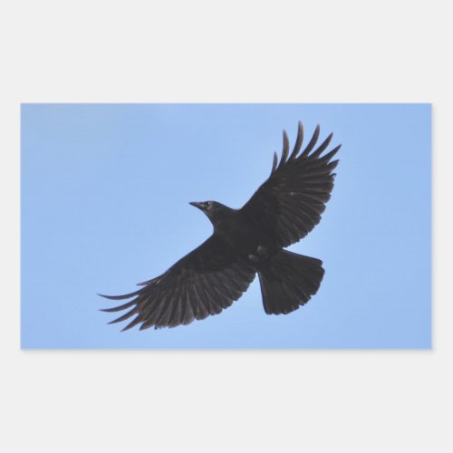 Flying Black Raven Corvid Crow_lover Photo Design Rectangular Sticker