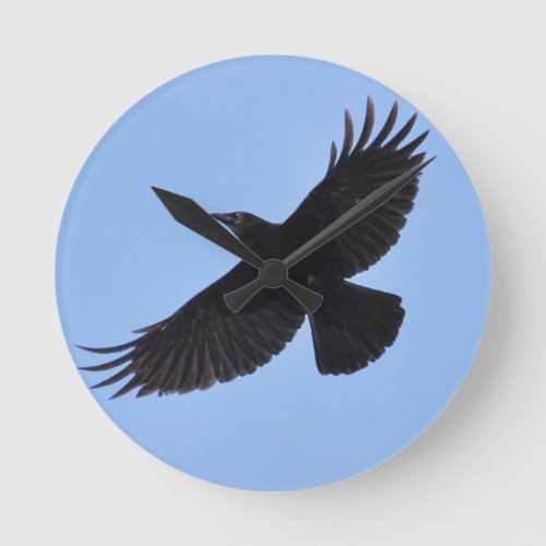 Flying Black Raven Corvid Crow_lover Photo Design Round Clock