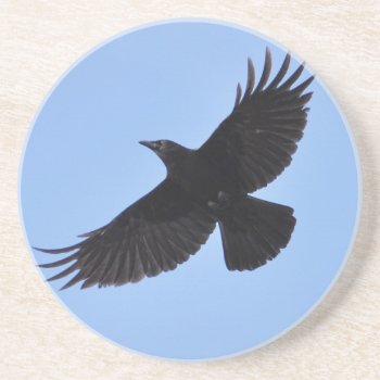 Flying Black Raven Corvid Crow-lover Photo Design Sandstone Coaster by RavenSpiritPrints at Zazzle