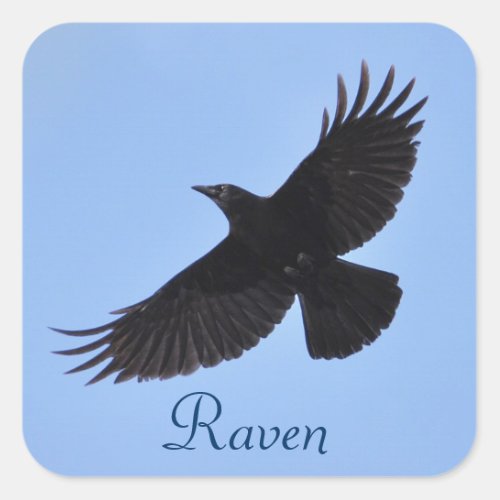 Flying Black Raven Corvid Crow_lover Photo Design Square Sticker