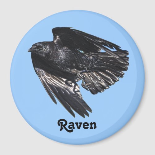 Flying Black Raven Crow_lover Photo Design 7 Magnet