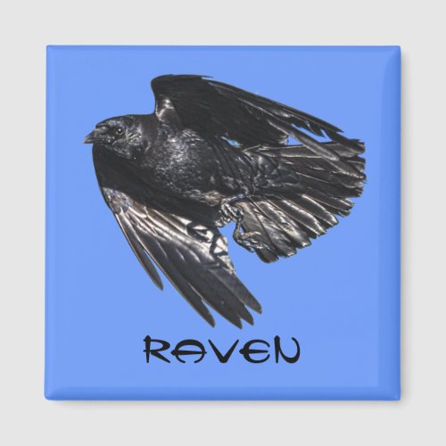 Flying Black Raven Crow_lover Photo Design 7 Magnet