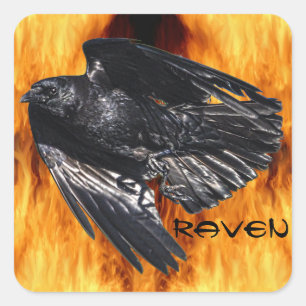 Flying Black Raven & Flames Photo Design 7 Square Sticker