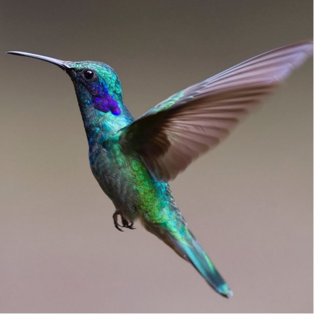 Flying Blue & Green Bird Sculpure Cutout (Front)