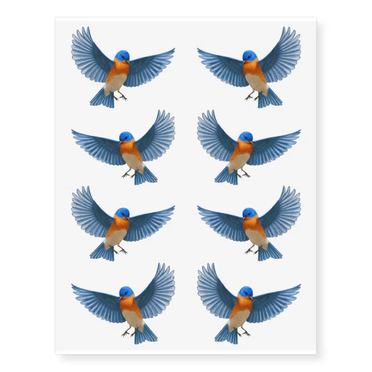 Flying Bluebird Temporary Tattoos | Zazzle