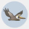 Flying Brown Pelican Classic Round Sticker