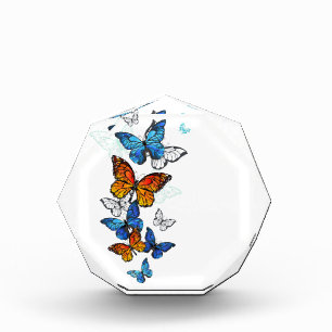 Flying Butterflies Morpho Acrylic Award