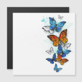 Flying Butterflies Morpho and Monarch (Front/Back)