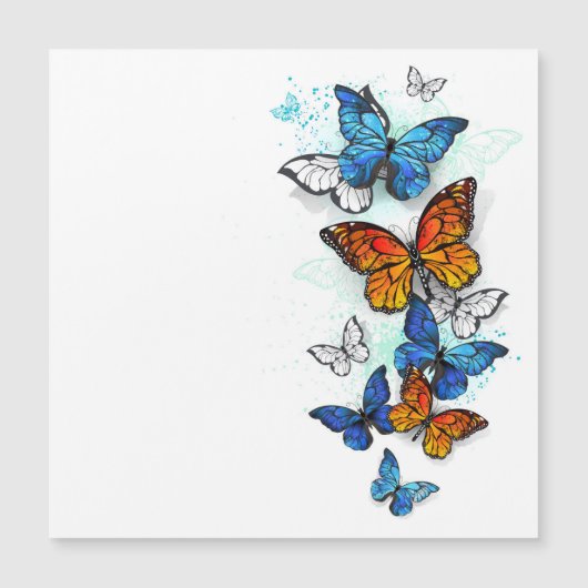 Flying Butterflies Morpho and Monarch (Front)