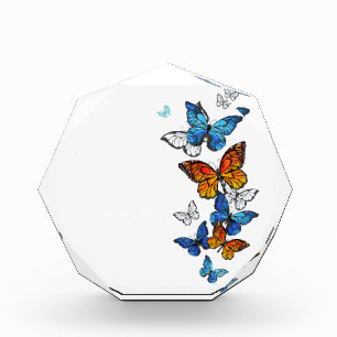 Flying Butterflies Morpho and Monarch Acrylic Award