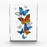 Flying Butterflies Morpho and Monarch Acrylic Award<br><div class="desc">Flying,  bright,  blue butterfly morpho and orange monarch butterfly on a white background. Morpho. Monarch butterfly. Design with butterflies.</div>