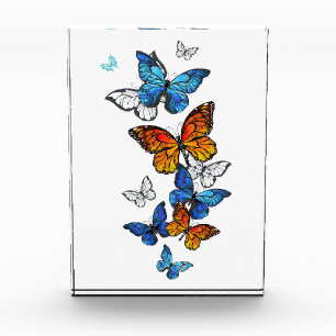 Flying Butterflies Morpho and Monarch Acrylic Award
