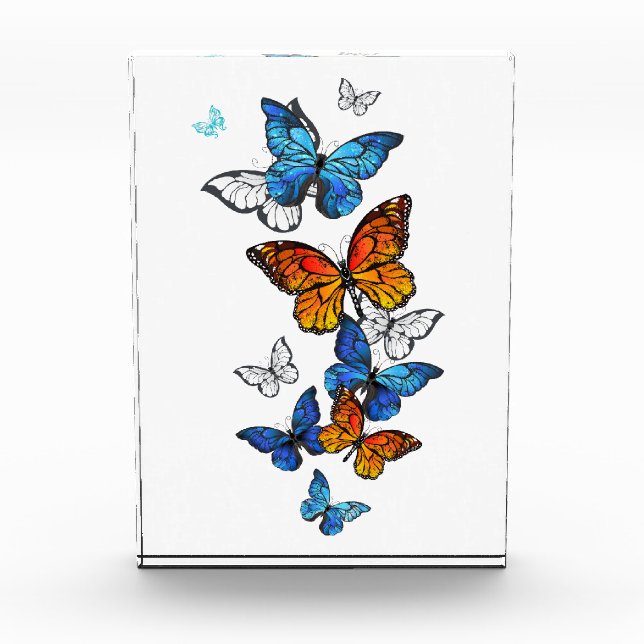 Flying Butterflies Morpho and Monarch Acrylic Award (Front)