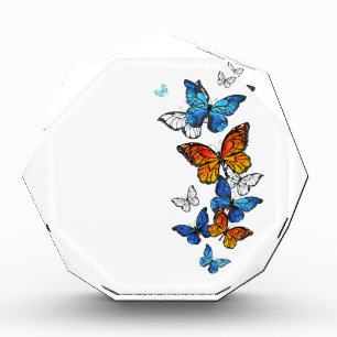 Flying Butterflies Morpho and Monarch Acrylic Award