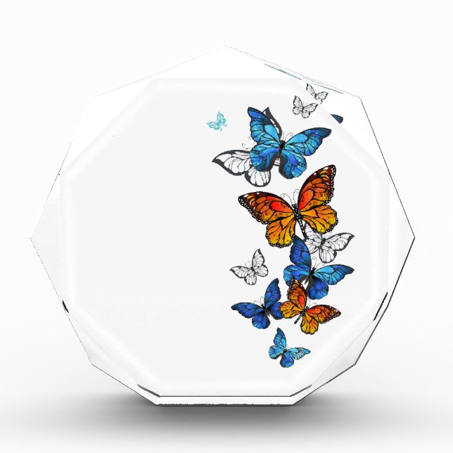 Flying Butterflies Morpho and Monarch Acrylic Award (Front)