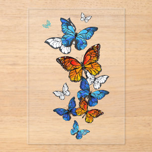 Flying Butterflies Morpho and Monarch Acrylic Invitations