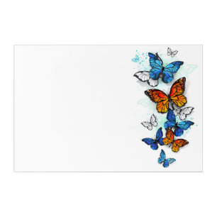 Flying Butterflies Morpho and Monarch Acrylic Print
