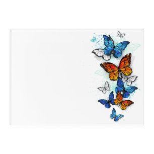 Flying Butterflies Morpho and Monarch Acrylic Print
