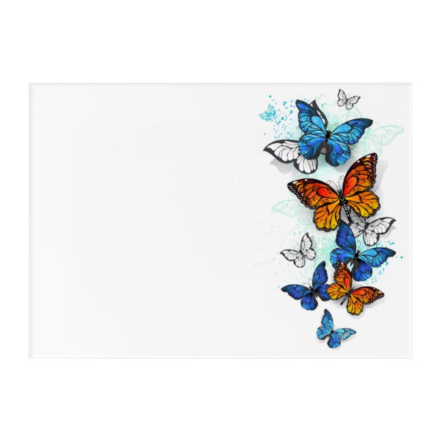 Flying Butterflies Morpho and Monarch Acrylic Print (Front)