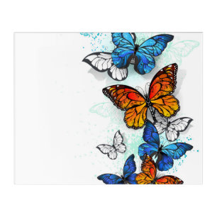 Flying Butterflies Morpho and Monarch Acrylic Print