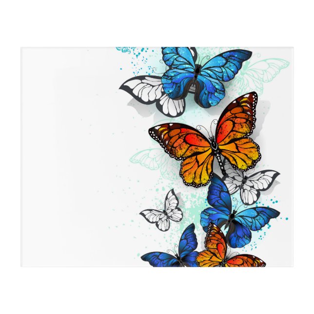 Flying Butterflies Morpho and Monarch Acrylic Print (Front)
